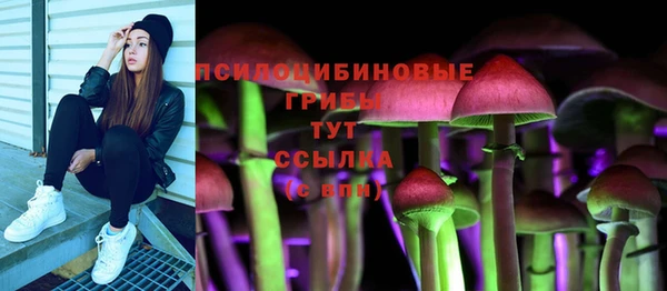 шишки Кулебаки