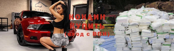 шишки Кулебаки
