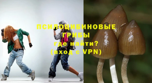 шишки Кулебаки