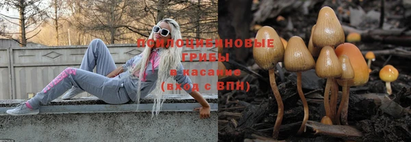 шишки Кулебаки