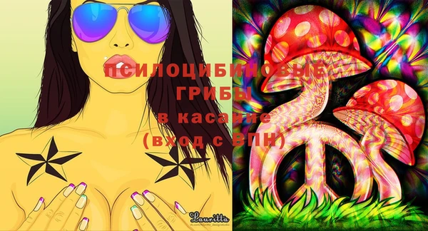 шишки Кулебаки